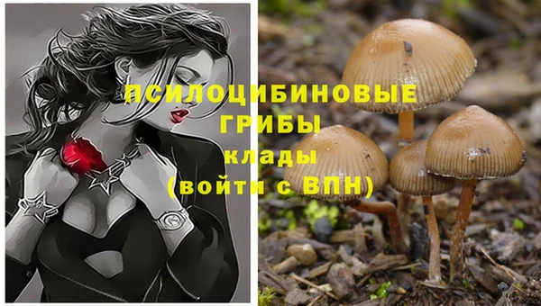 каннабис Алексин