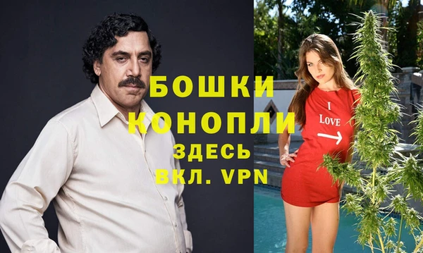 бошки Алексеевка