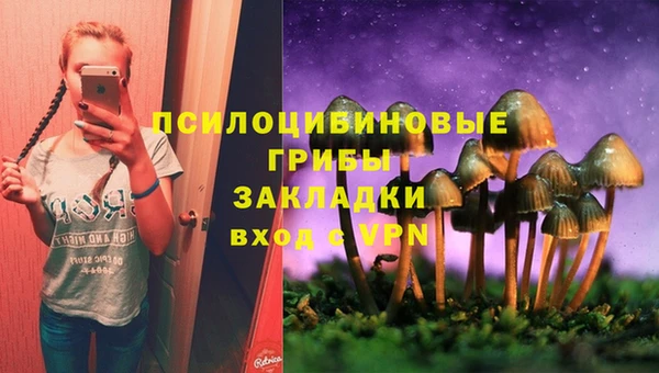 винт Алзамай
