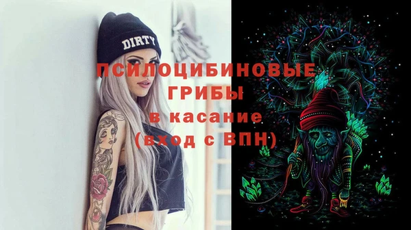 винт Алзамай