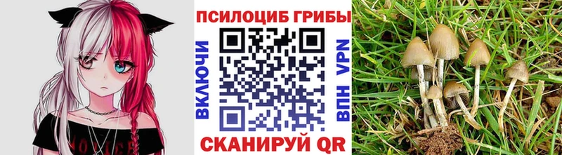 Псилоцибиновые грибы ЛСД Апшеронск